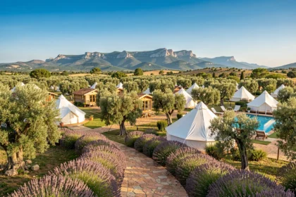 Vue panoramique d'un camping en Provence-Alpes-Côte d'Azur avec tentes, chalets et piscine entourés d'oliviers et de lavande
